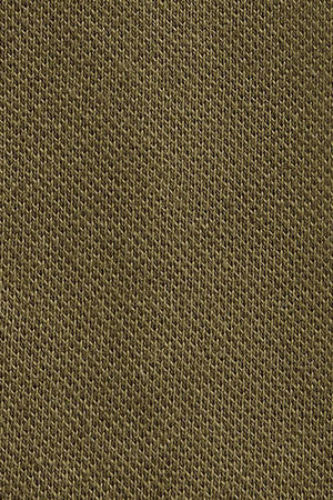46550_color_swatch